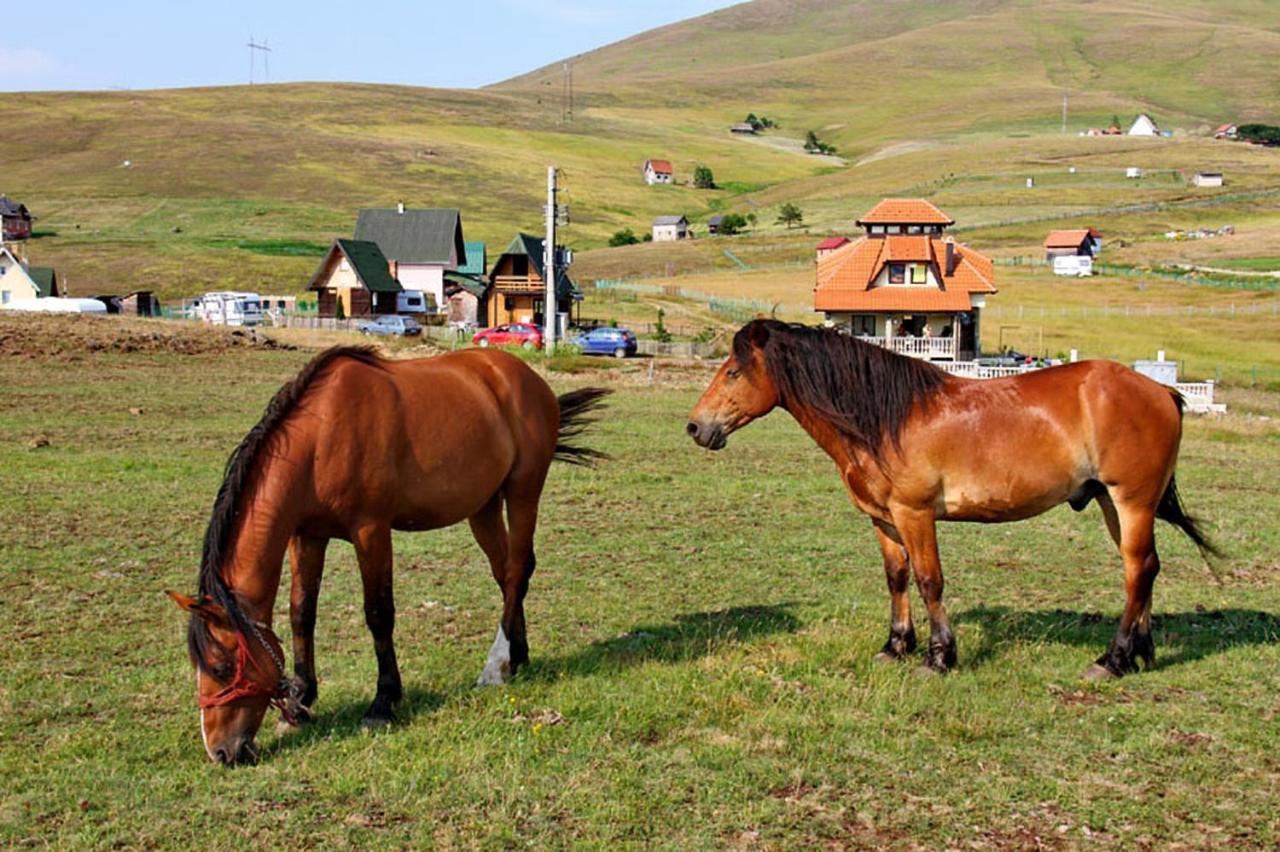 Appartamento Brvnara Zlatiborka Esterno foto