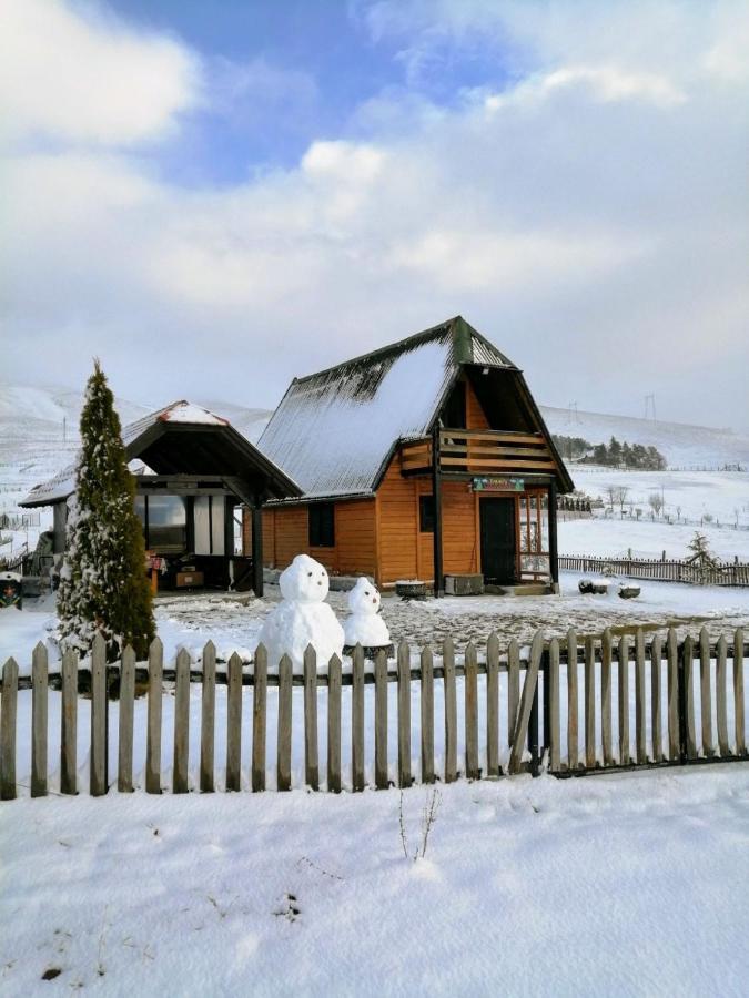 Appartamento Brvnara Zlatiborka Esterno foto